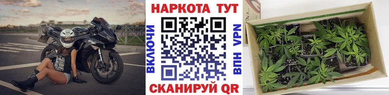 Купить закладку Барыш Alpha PVP Конопля Кокаин МЕФ ГАШИШ