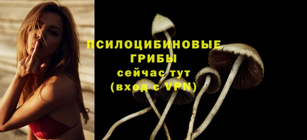 spice Надым