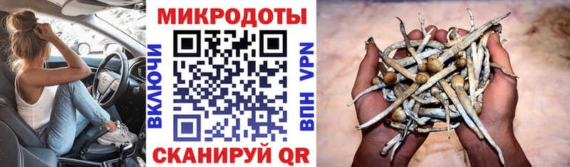 Псилоцибиновые грибы Psilocybine cubensis  купить наркоту  omg   Барыш 